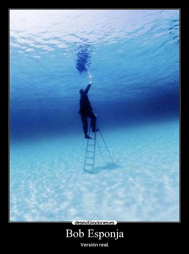 Bob Esponja - Versión real.