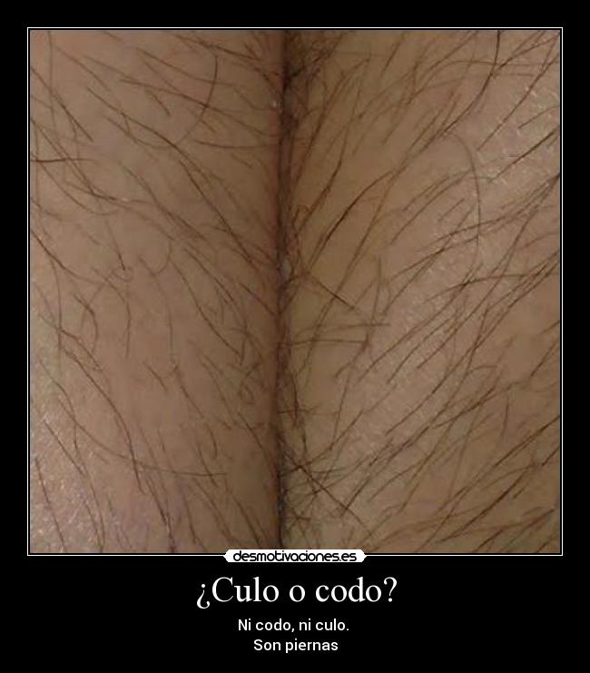 ¿Culo o codo? - 
