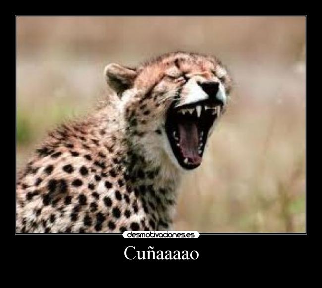 Cuñaaaao -