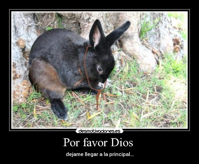 Por favor Dios - dejame llegar a la principal...