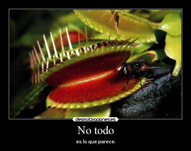 No todo - es lo que parece.