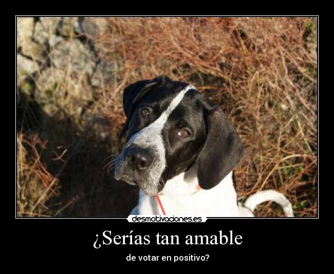 ¿Serías tan amable - 