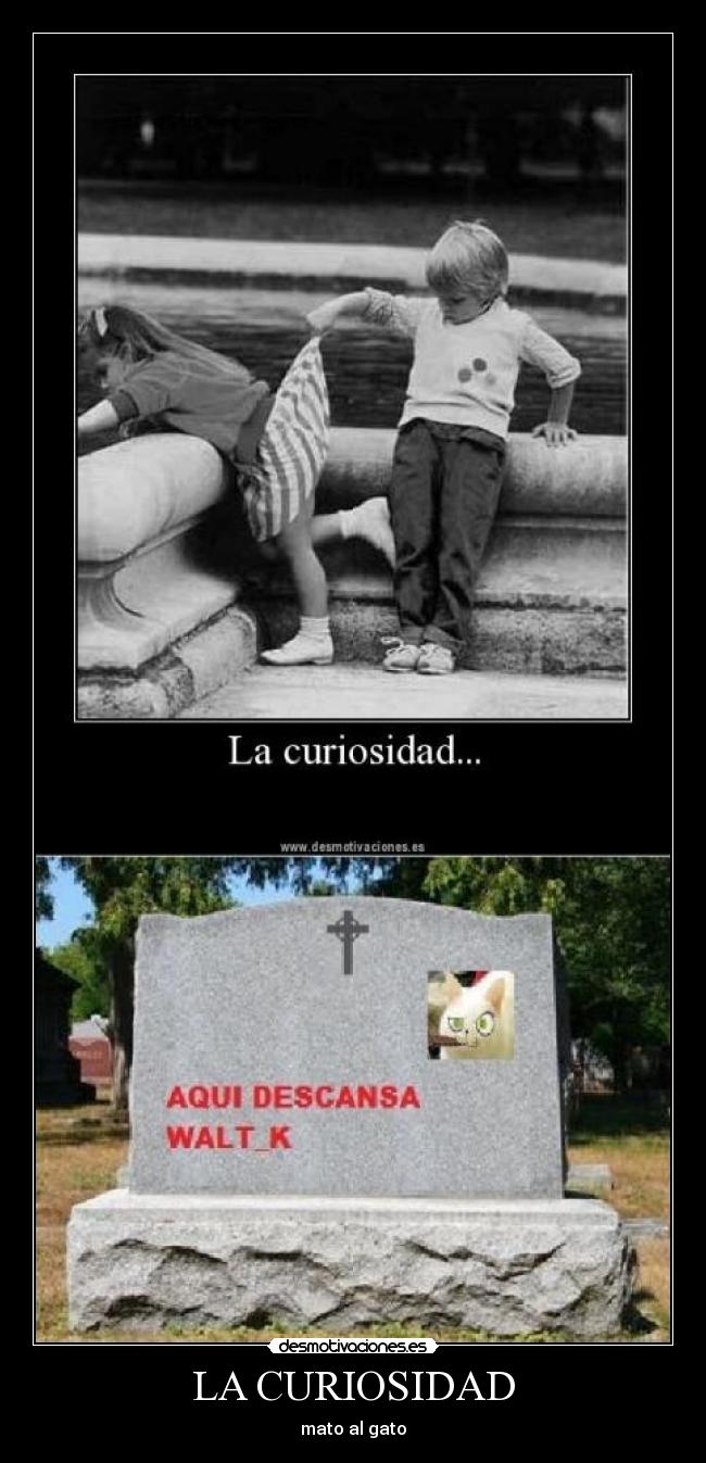 LA CURIOSIDAD -
