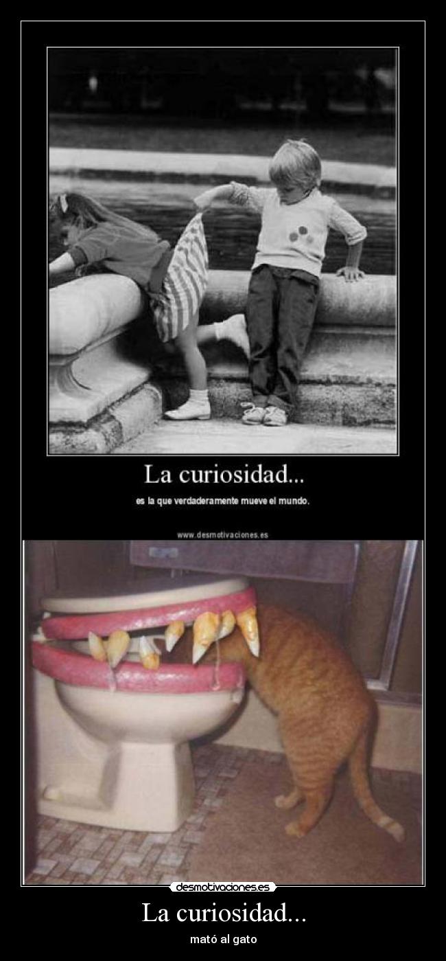 La curiosidad... -