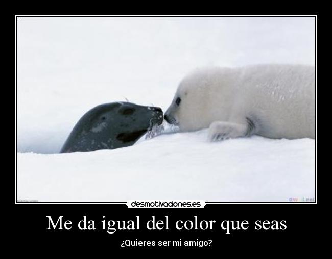 Me da igual del color que seas - 