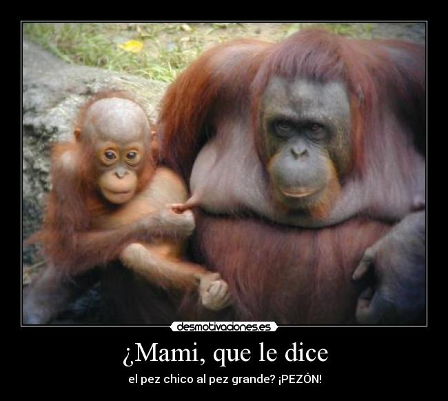 ¿Mami, que le dice - el pez chico al pez grande? ¡PEZÓN!