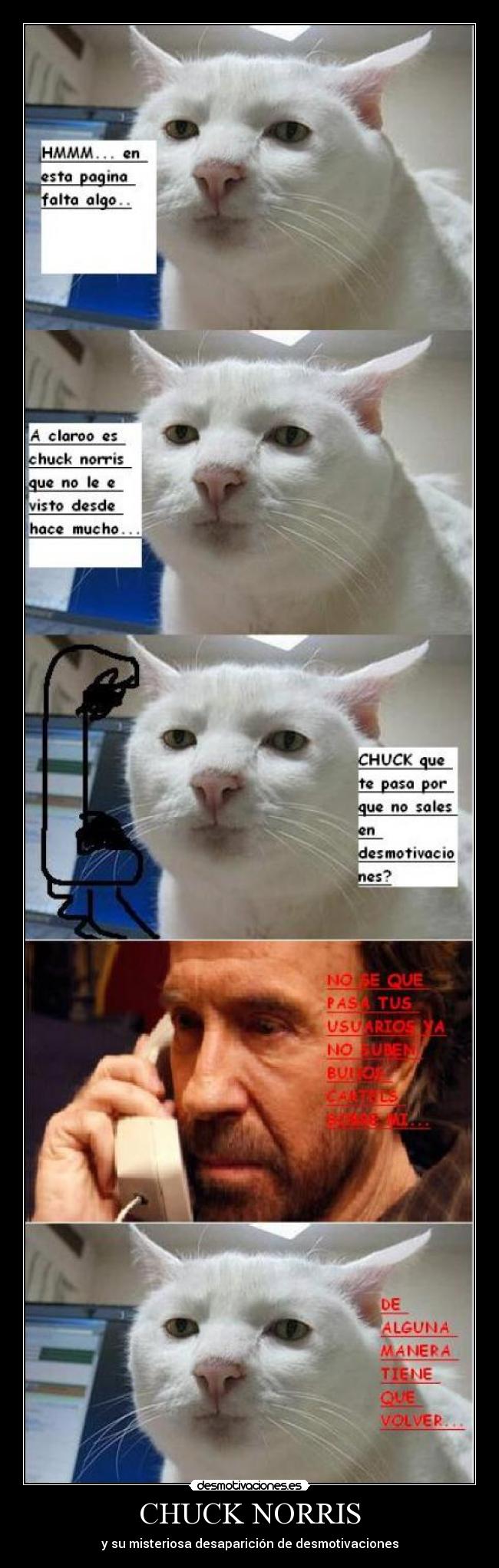 CHUCK NORRIS - y su misteriosa desaparición de desmotivaciones