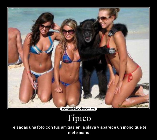 Típico - Te sacas una foto con tus amigas en la playa y aparece un mono que te mete mano
