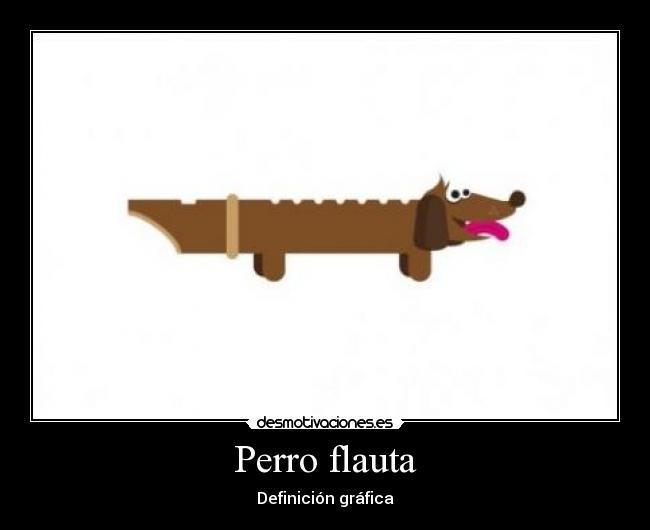 Perro flauta - Definición gráfica