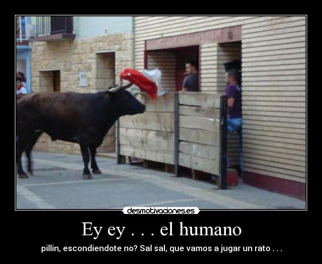 Ey ey . . . el humano -