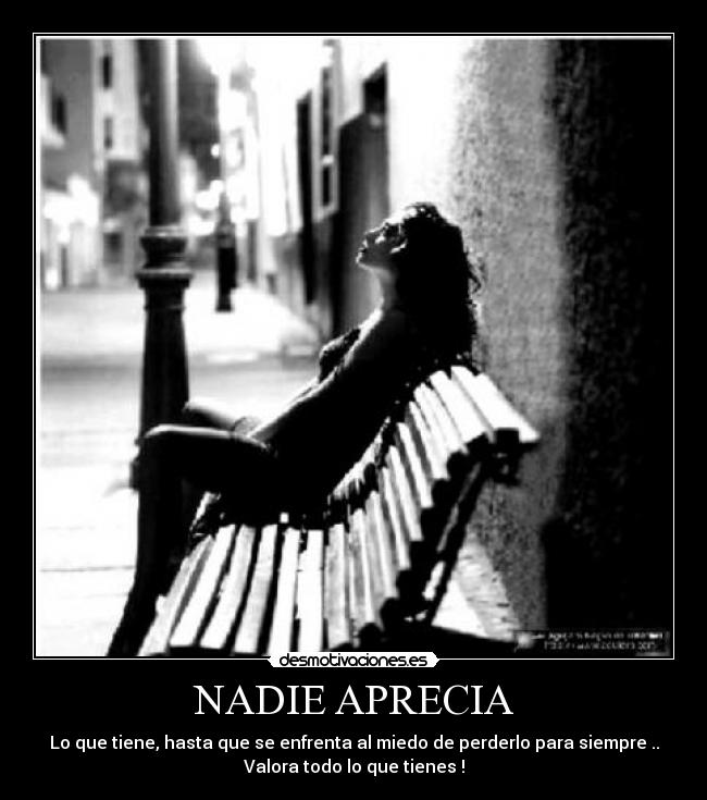 NADIE APRECIA - 