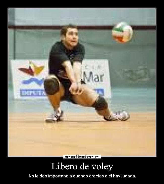Libero de voley - 