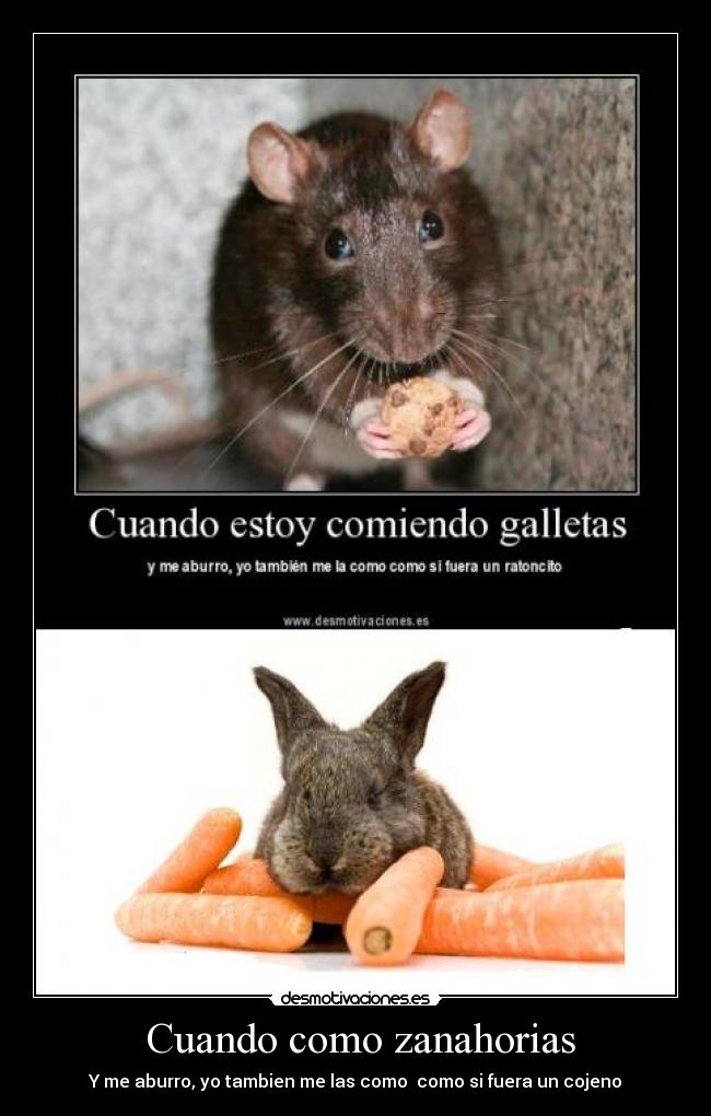  Cuando como zanahorias - 