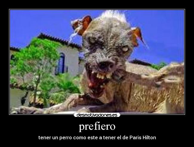 prefiero - 