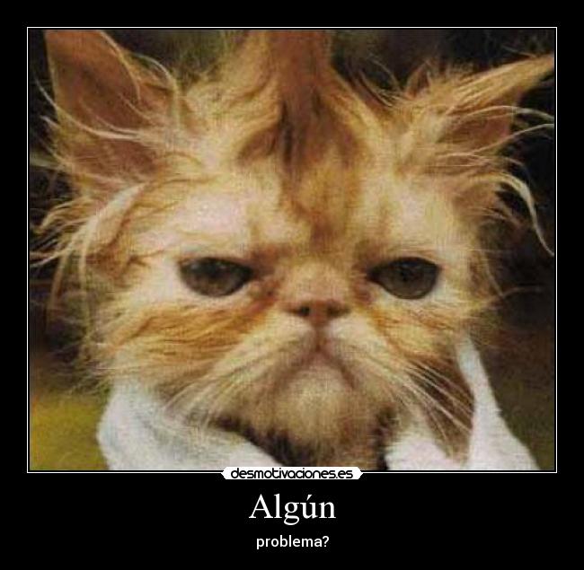 Algún -