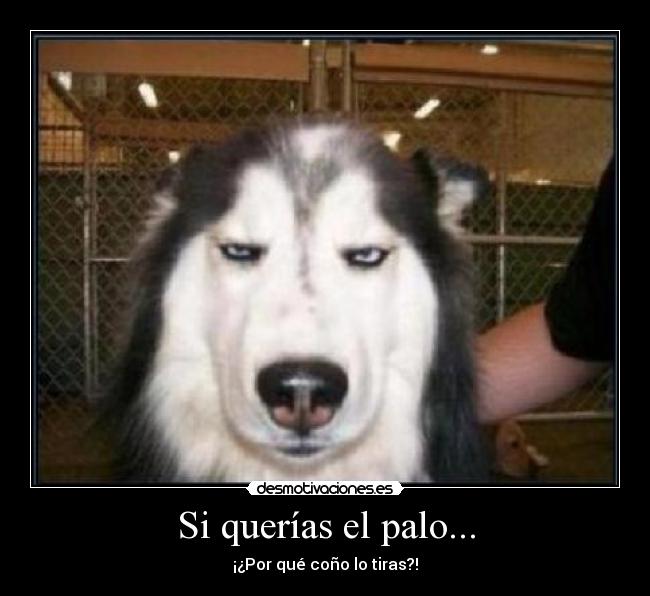 Si querías el palo... -
