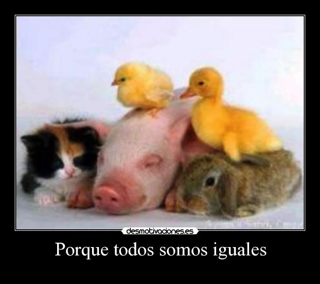 Porque todos somos iguales -