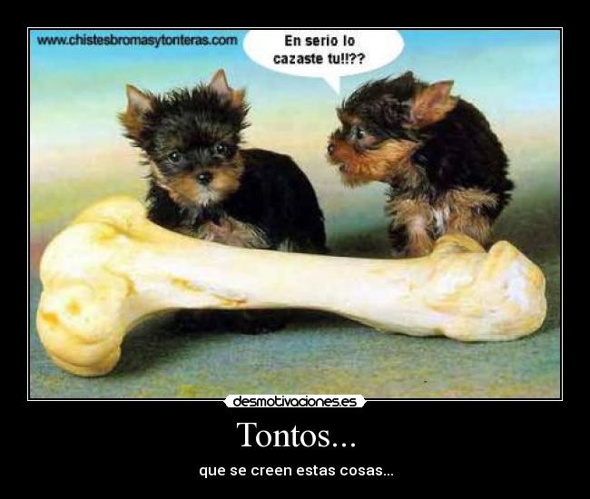 Tontos... - que se creen estas cosas...