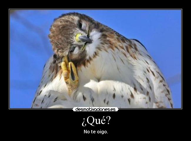 carteles ilos desmotivaciones