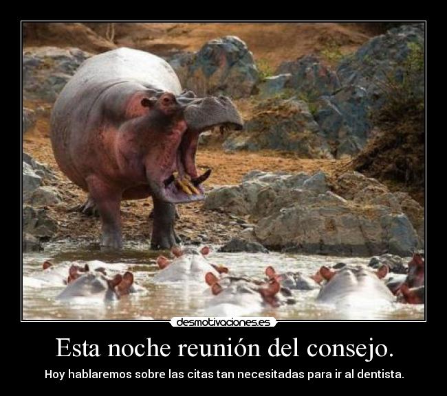 Esta noche reunión del consejo. -