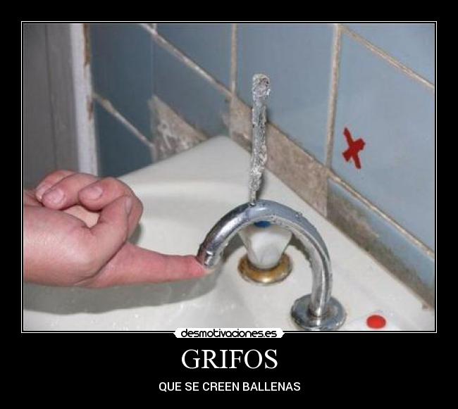 GRIFOS - 
