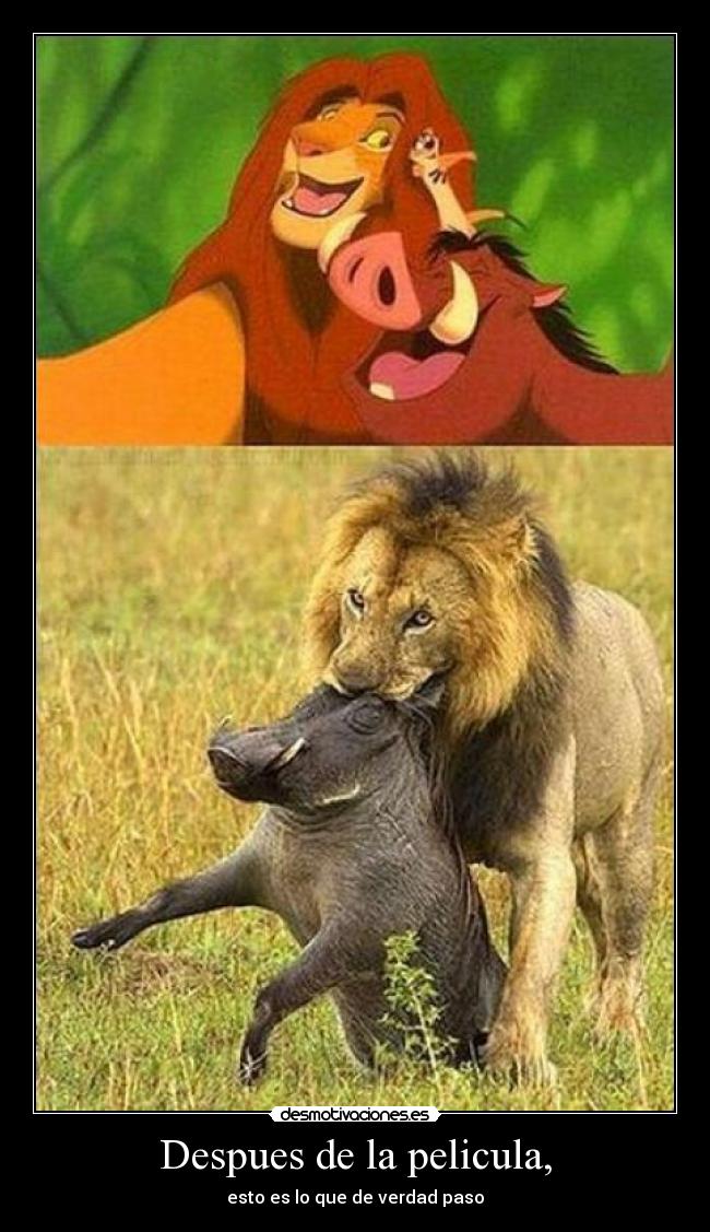 Despues de la pelicula, - esto es lo que de verdad paso