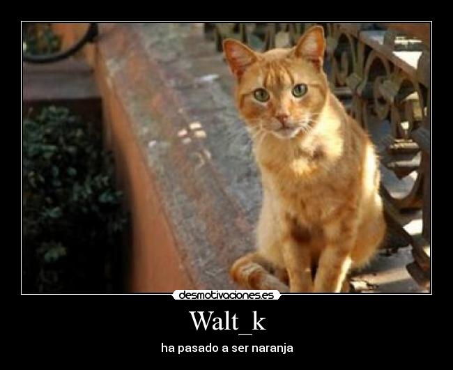Walt_k - ha pasado a ser naranja