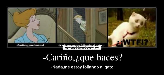 -Cariño,¿que haces? - -Nada,me estoy follando al gato