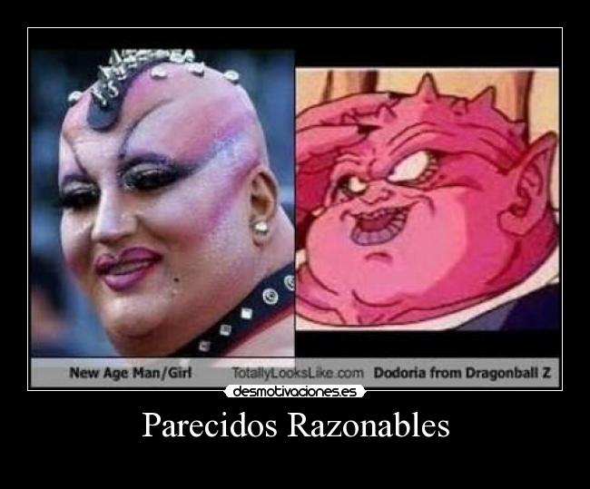 Parecidos Razonables -