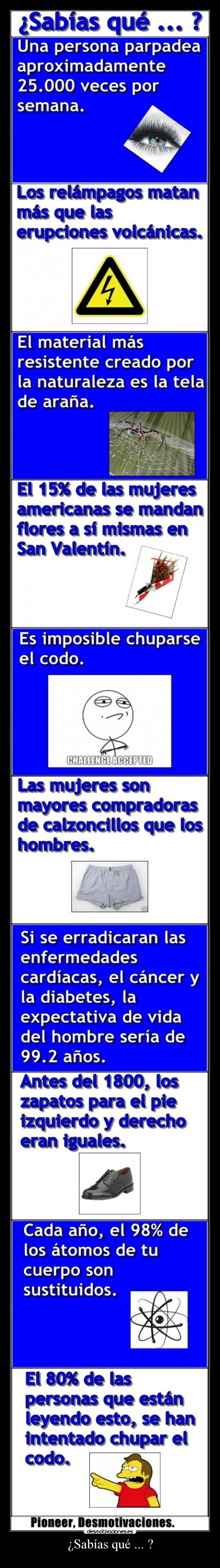 ¿Sabías qué ... ? -