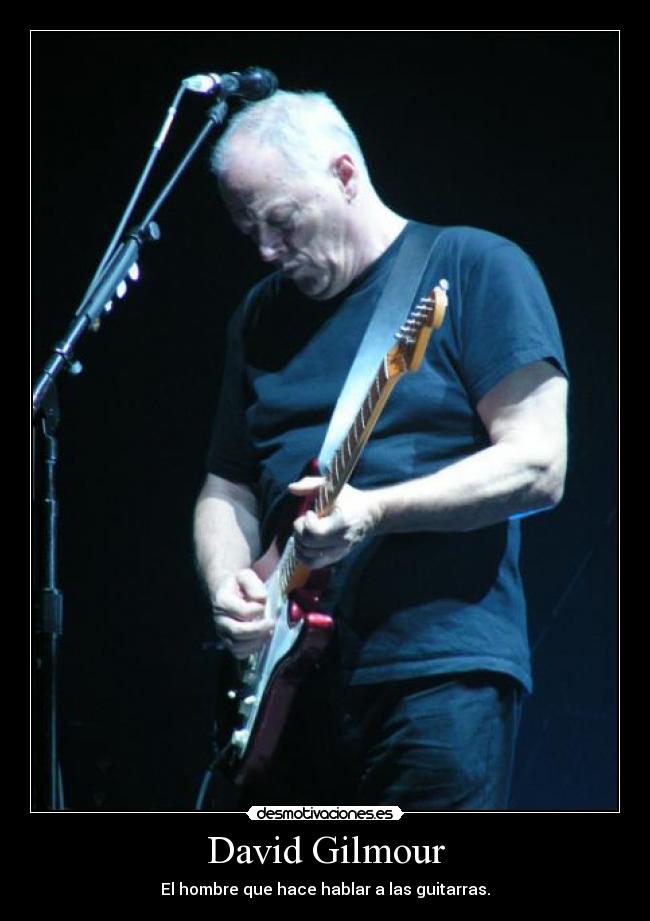 David Gilmour - 