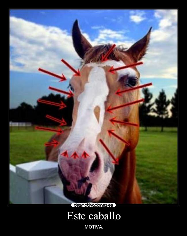 Este caballo -