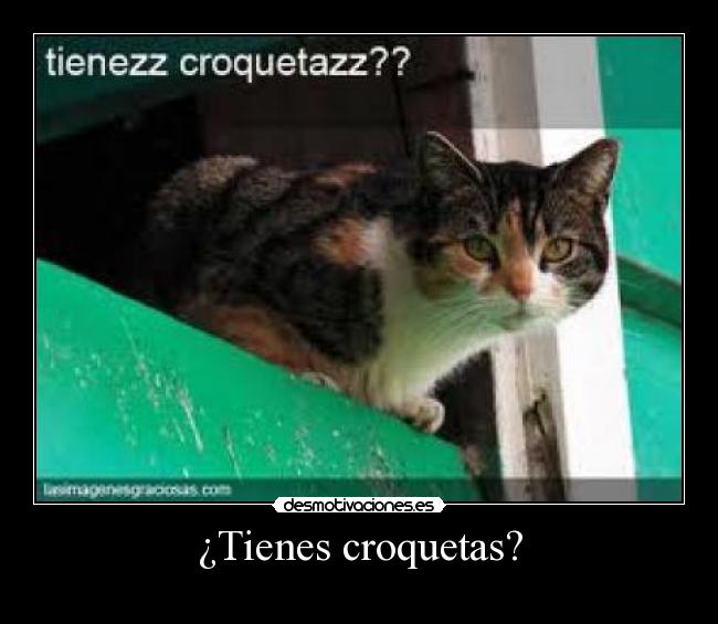 ¿Tienes croquetas? - 