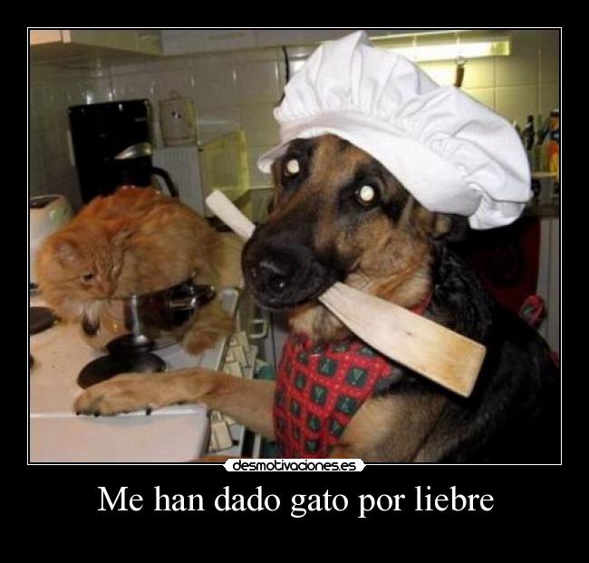 Me han dado gato por liebre -