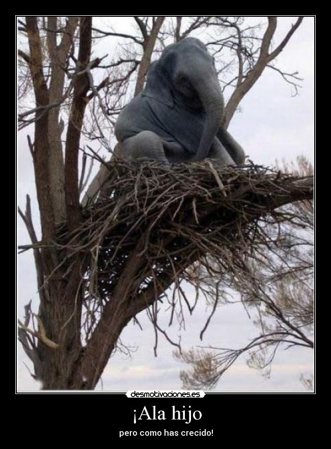 ¡Ala hijo - pero como has crecido!