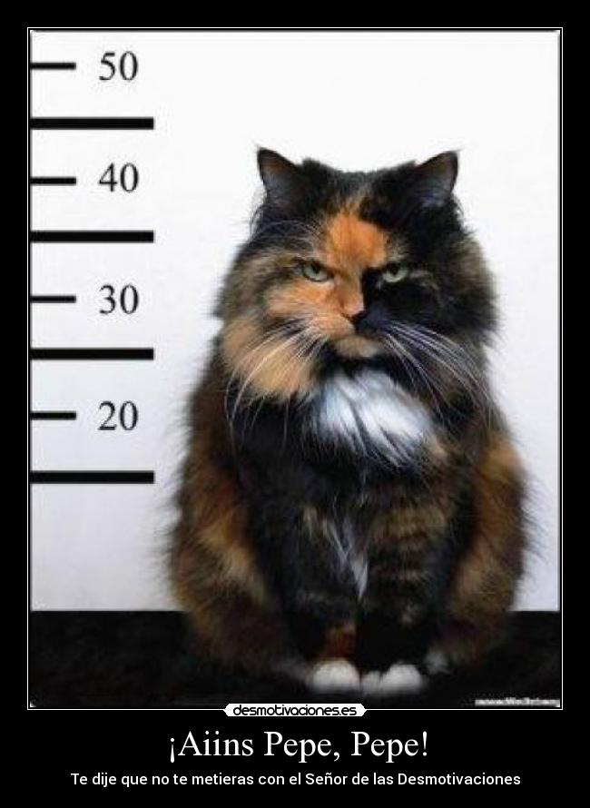 ¡Aiins Pepe, Pepe! - Te dije que no te metieras con el Señor de las Desmotivaciones