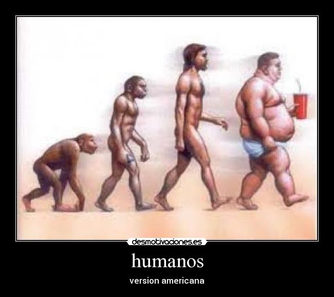 humanos - 