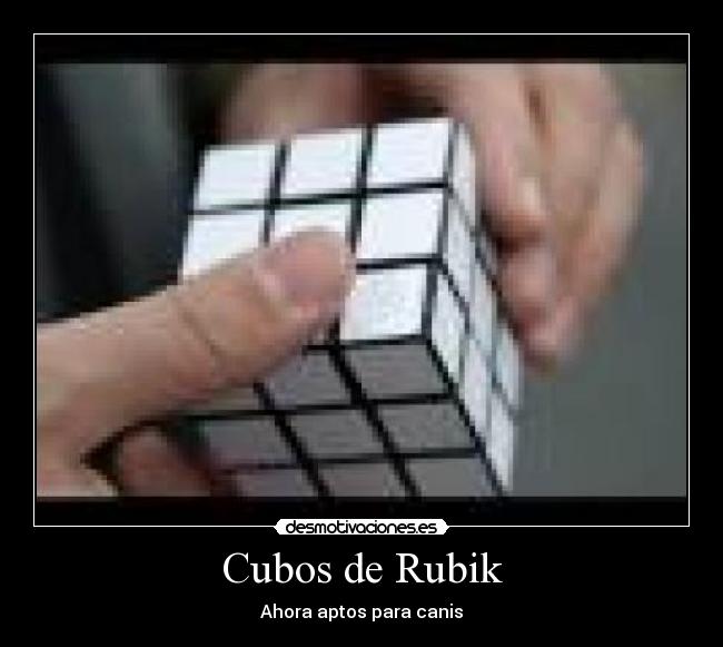 Cubos de Rubik - 