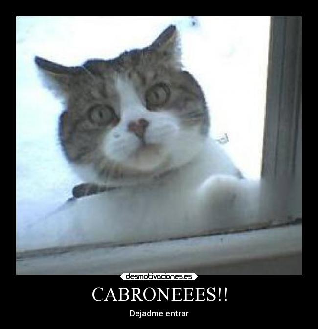 CABRONEEES!! - Dejadme entrar