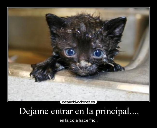 carteles wwwdesmotivacioneses desmotivaciones