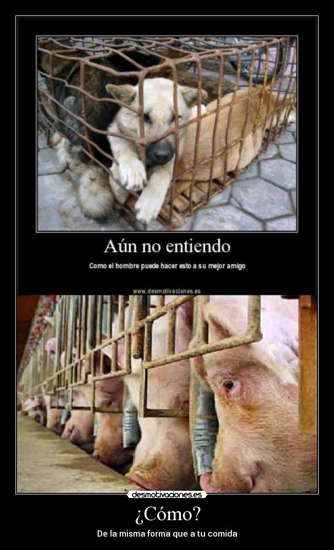 ¿Cómo? - De la misma forma que a tu comida