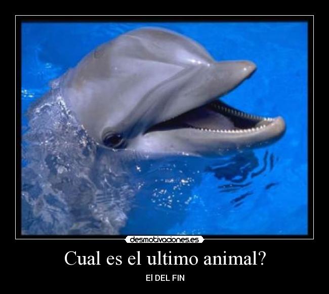 Cual es el ultimo animal? - El DEL FIN