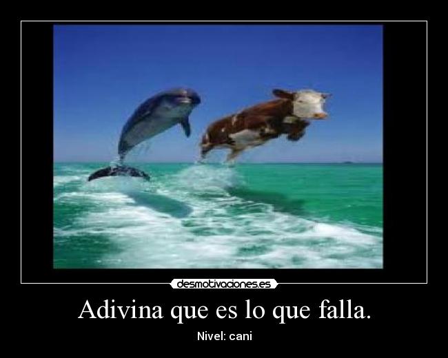 carteles jotarisas desmotivaciones