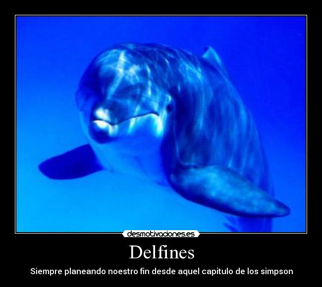 Delfines -