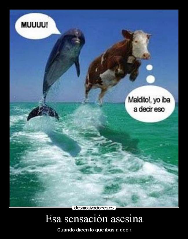 Esa sensación asesina -