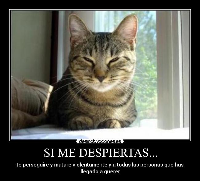 SI ME DESPIERTAS... - te perseguire y matare violentamente y a todas las personas que has llegado a querer