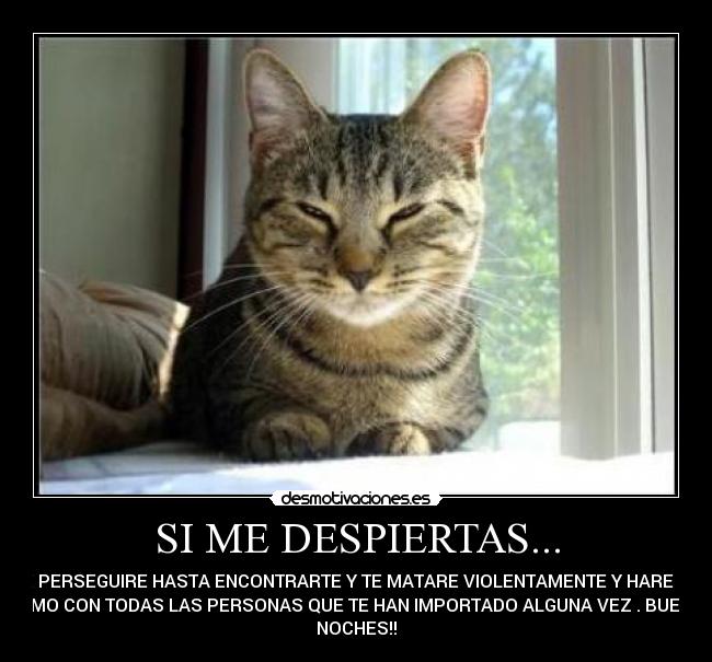 SI ME DESPIERTAS... - TE PERSEGUIRE HASTA ENCONTRARTE Y TE MATARE VIOLENTAMENTE Y HARE LO
MISMO CON TODAS LAS PERSONAS QUE TE HAN IMPORTADO ALGUNA VEZ . BUENAS
NOCHES!!