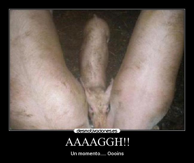 AAAAGGH!! - Un momento..... Oooins