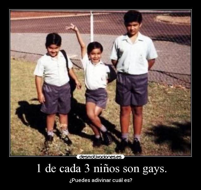 1 de cada 3 niños son gays. - 