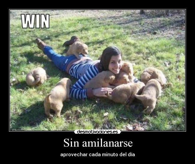 Sin amilanarse - aprovechar cada minuto del día